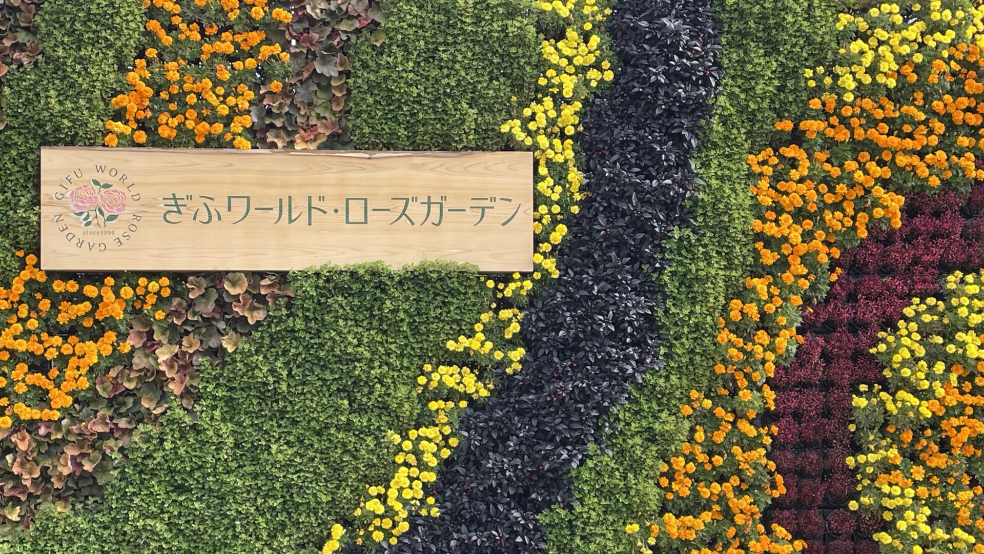 ぎふワールド・ローズガーデン（花フェスタ記念公園）入園料とおすすめの【年間パスポート】の購入方法をご紹介