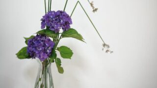 植物のフトイを飾って梅雨の季節をお花で表現/実例を２つご紹介